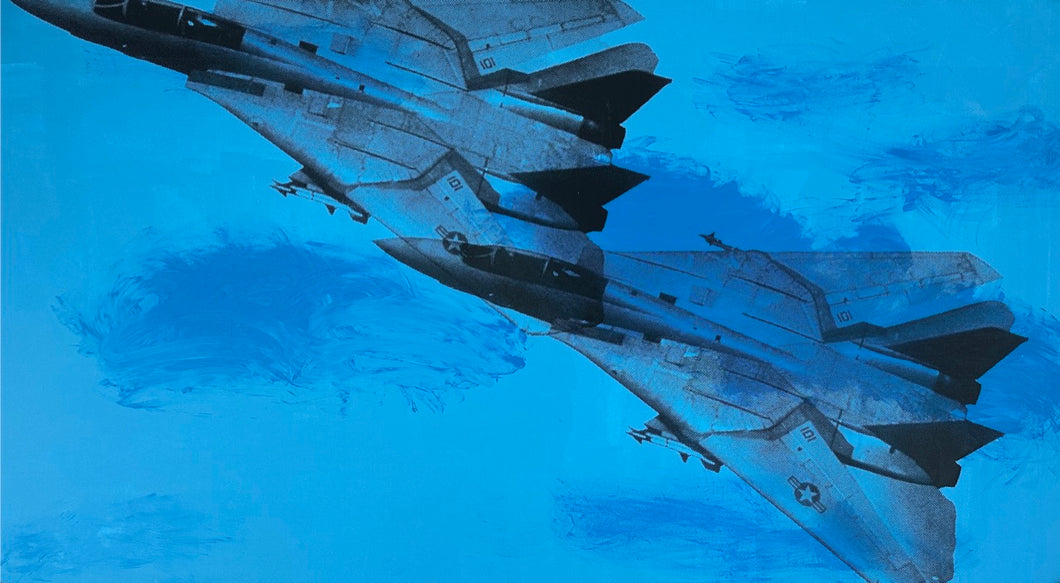 F-14 (Blue)
