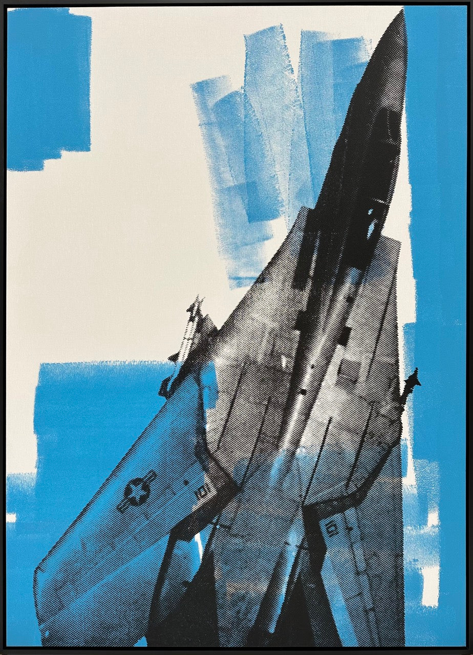 F-14 (Blue) A/P