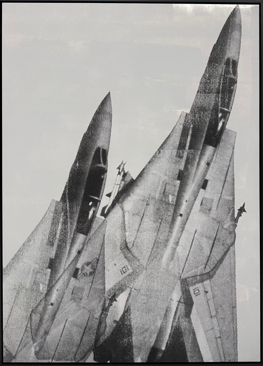 F-14 (Grey)